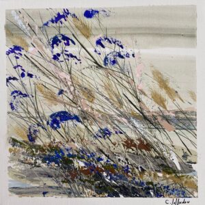 Les Dunes en Bleu par Camille Jaffredou