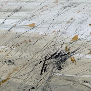 Oiseaux de bord de mer par Camille Jaffredou