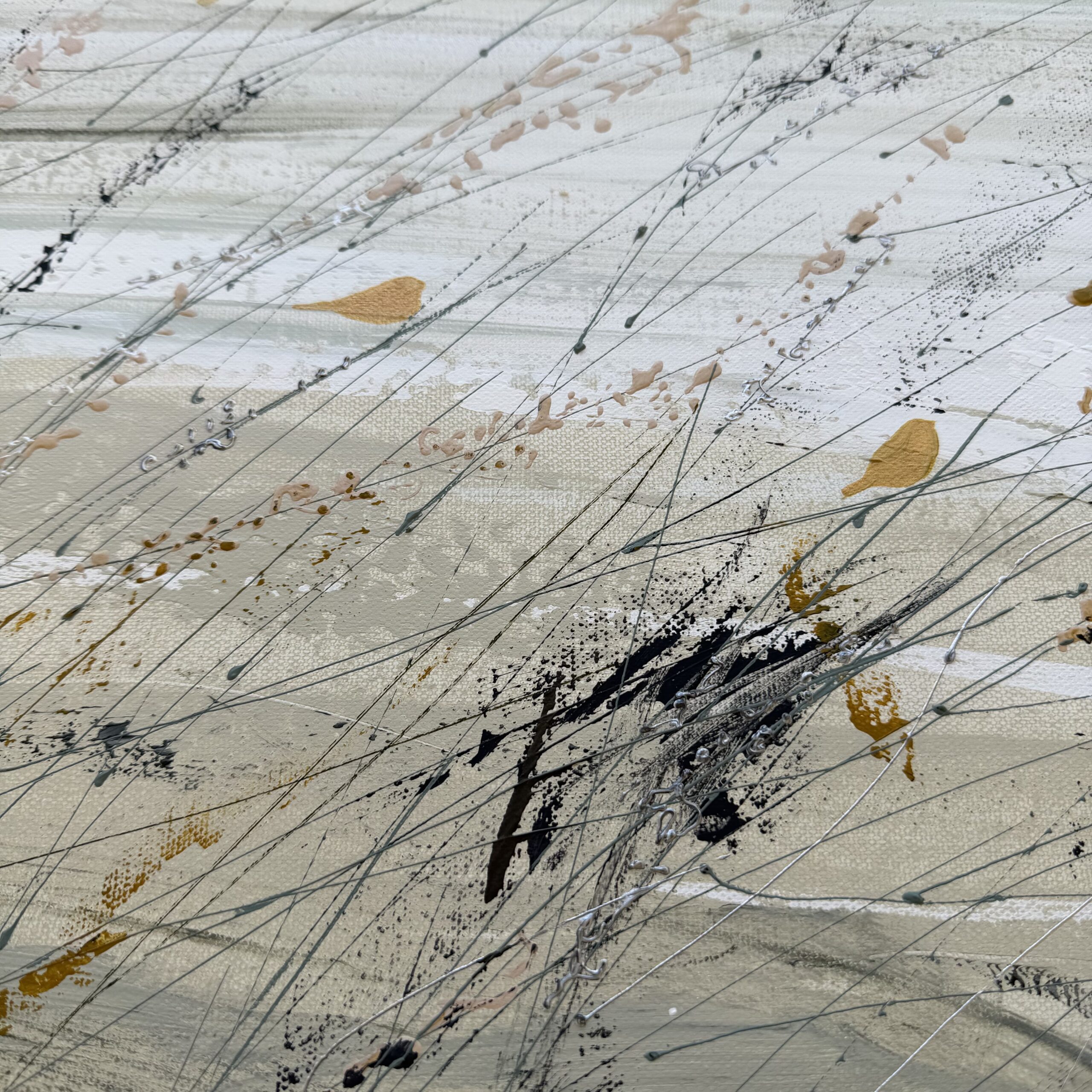 Oiseaux de bord de mer par Camille Jaffredou