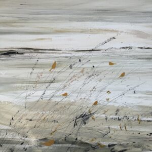 Oiseaux de bord de mer par Camille Jaffredou