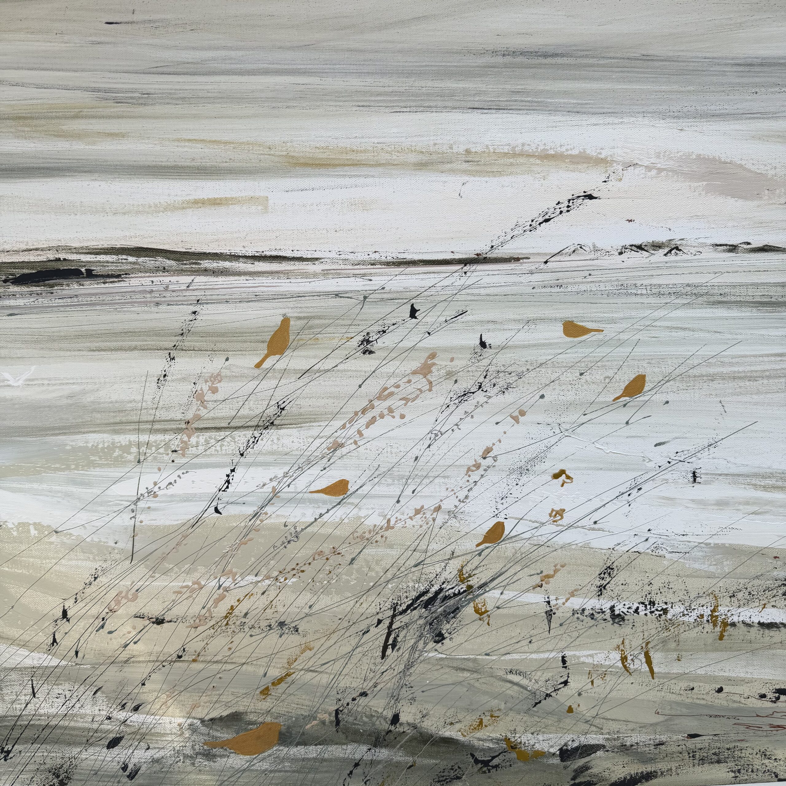 Oiseaux de bord de mer par Camille Jaffredou