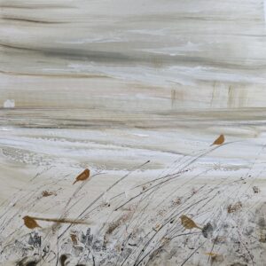 Oiseaux à Lampaul par Camille Jaffredou