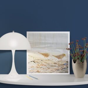 Oiseaux en bord de mer par Camille Jaffredou