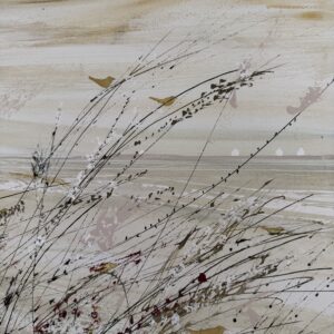 Littoral finistérien avec oiseaux par Camille Jaffredou