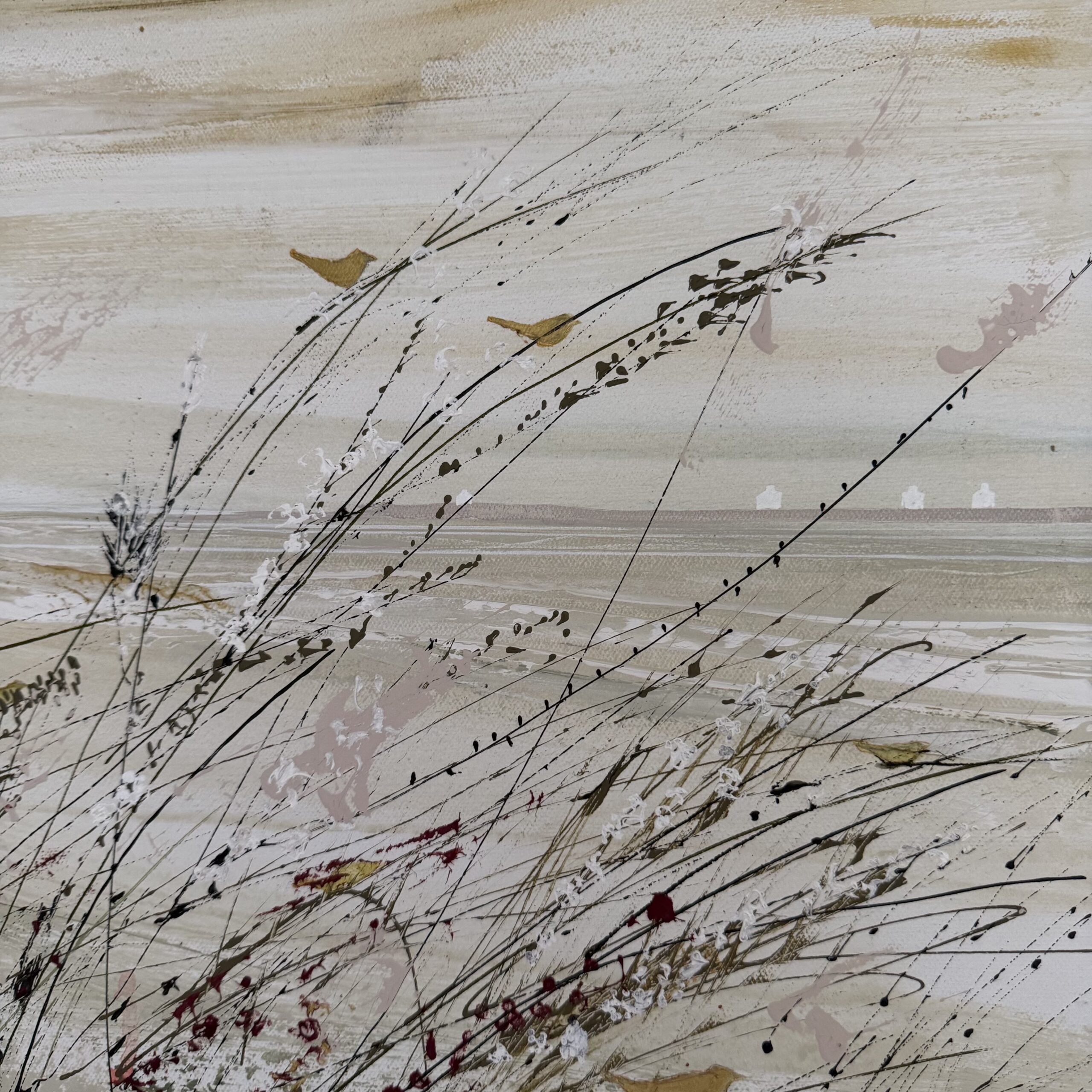 Littoral finistérien avec oiseaux par Camille Jaffredou