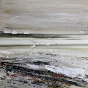 Ouessant avec des oiseaux par Camille Jaffredou