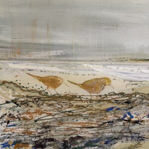 Oiseaux en bord de mer par Camille Jaffredou