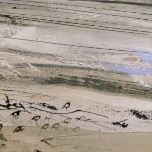 Oiseaux en bord de mer par Camille Jaffredou