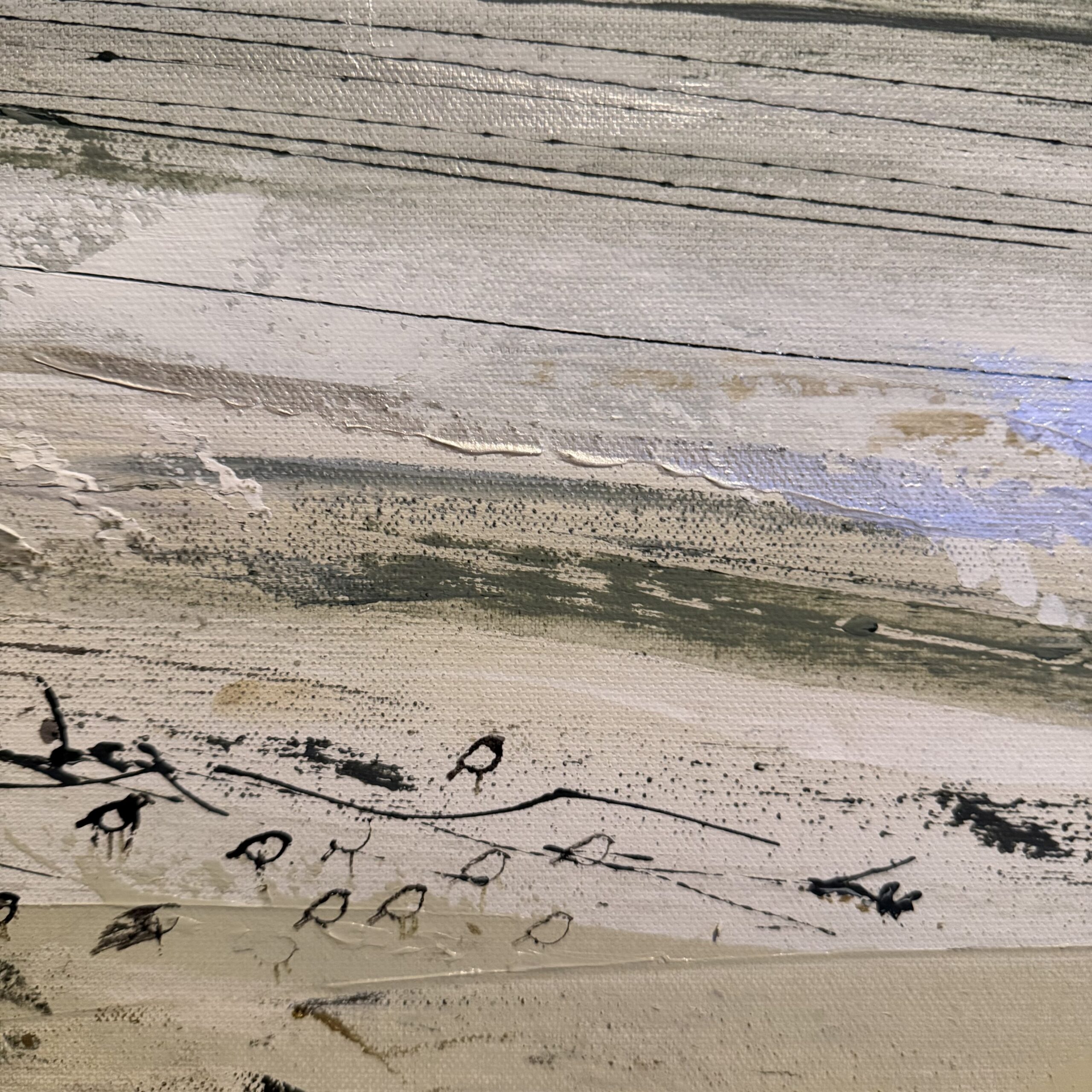 Oiseaux en bord de mer par Camille Jaffredou