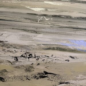 Oiseaux en bord de mer par Camille Jaffredou